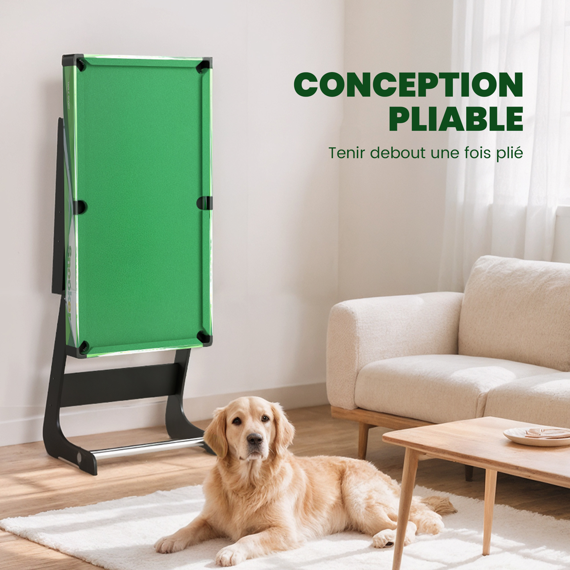 Table de Billard Pliable 104 cm avec Accessoires – 2 Queues & 16 Billes – Tapis Vert – vue de détail