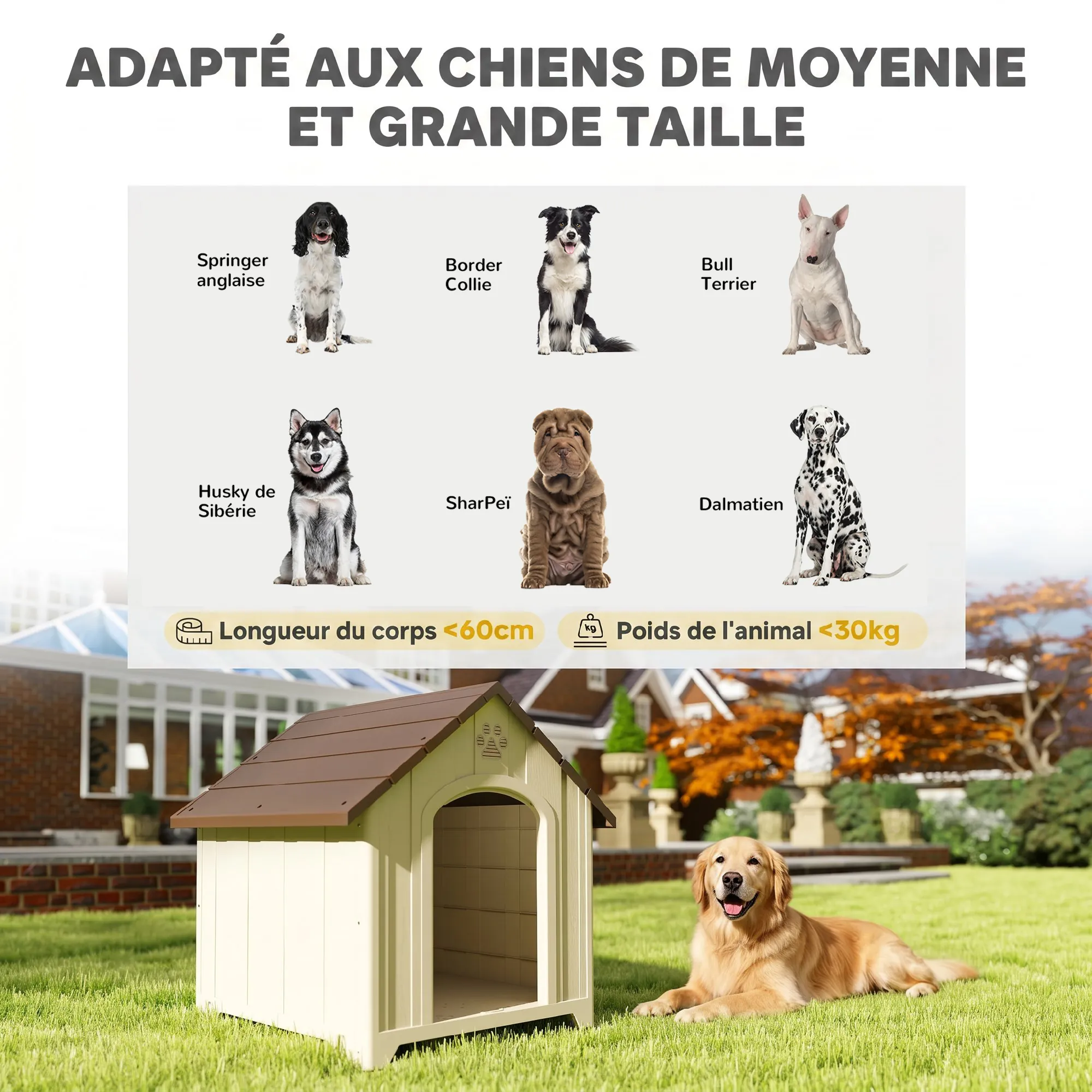 Niche pour chien extérieur, maison chien en polypropylène imperméable, ventilé, plancher surélevé, beige - Afbeelding 6