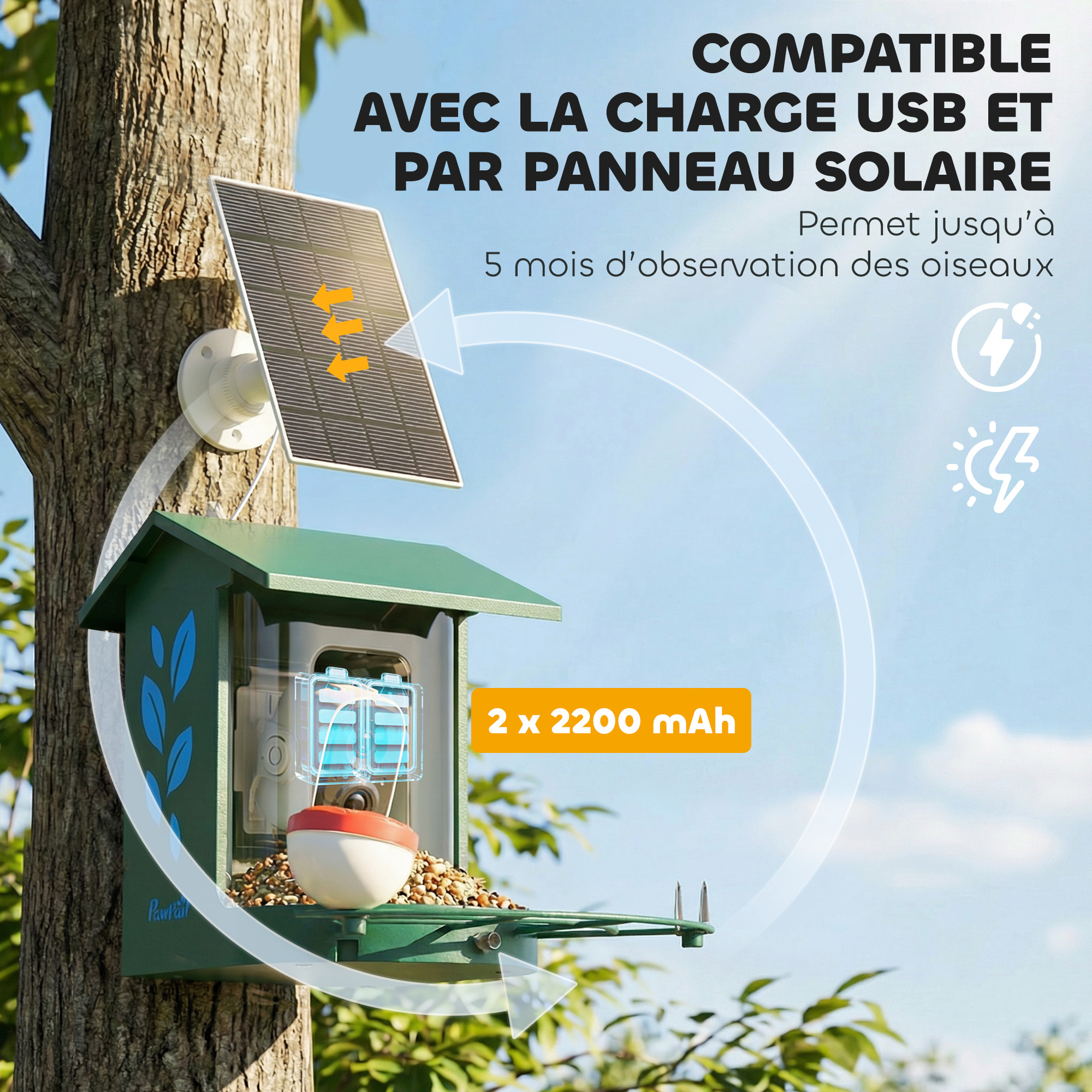 Mangeoire pour Oiseaux avec Caméra 2K Solaire et IA – 2,5 L – Vert - Image 8